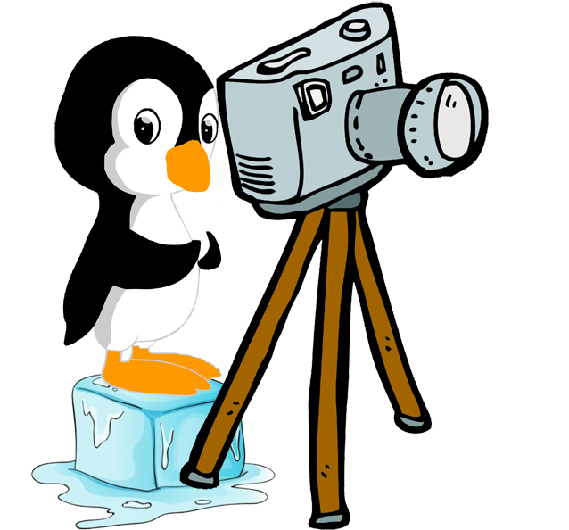 Penguin_w_camera.png